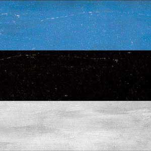 Estonia Flag Distressed Fire TV Cube Skin